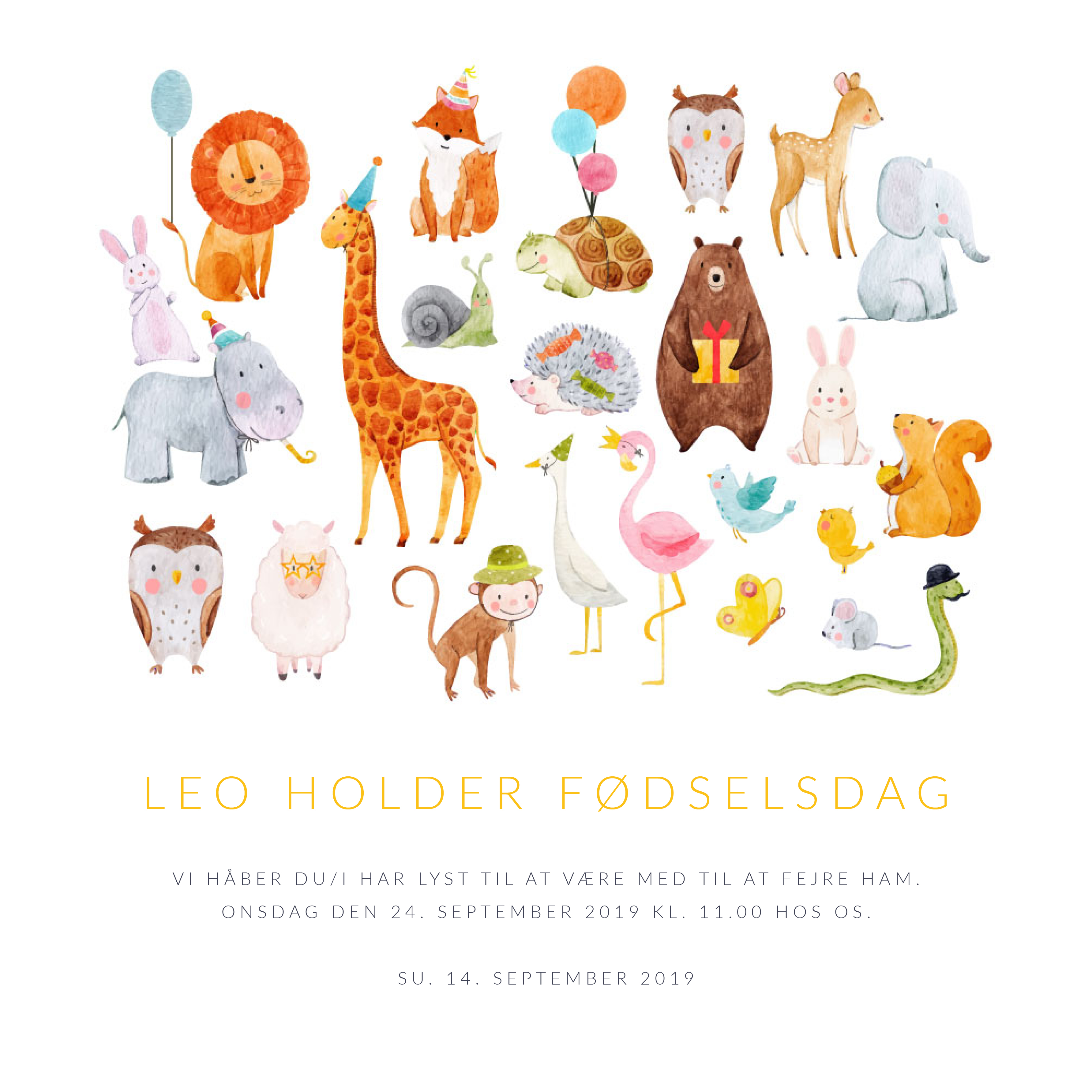 Fødselsdag - Leo